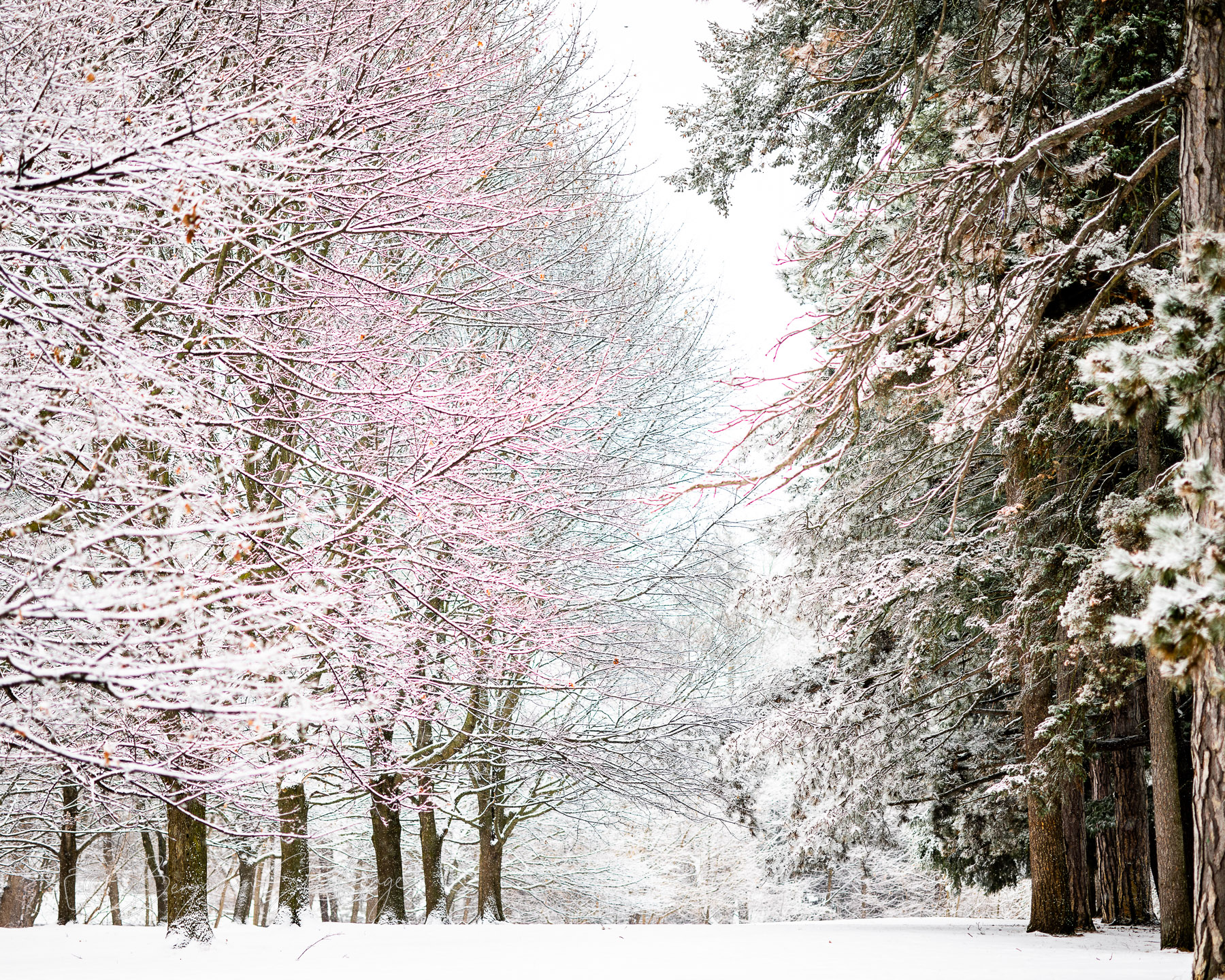 Winter Hall