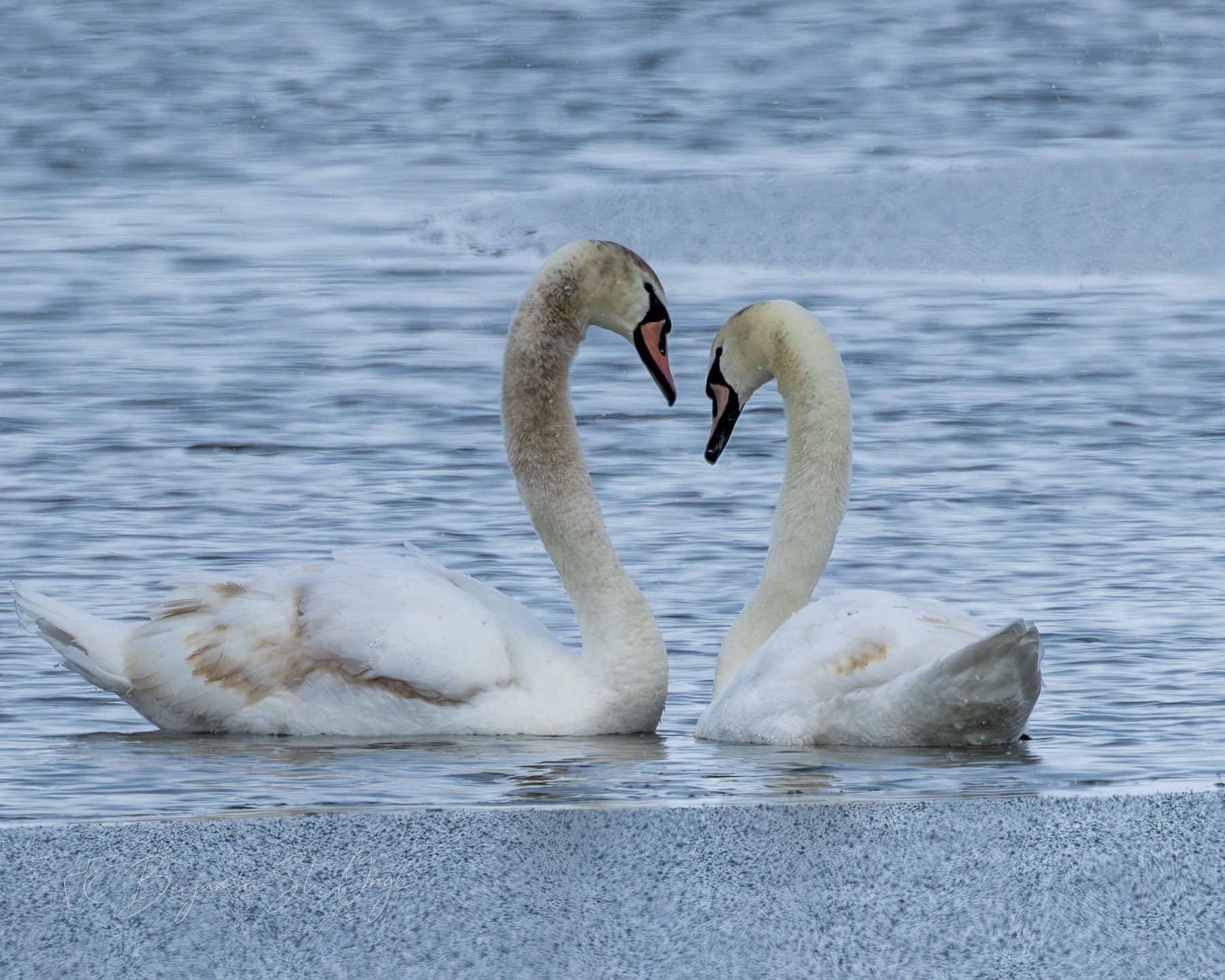 Love Story
