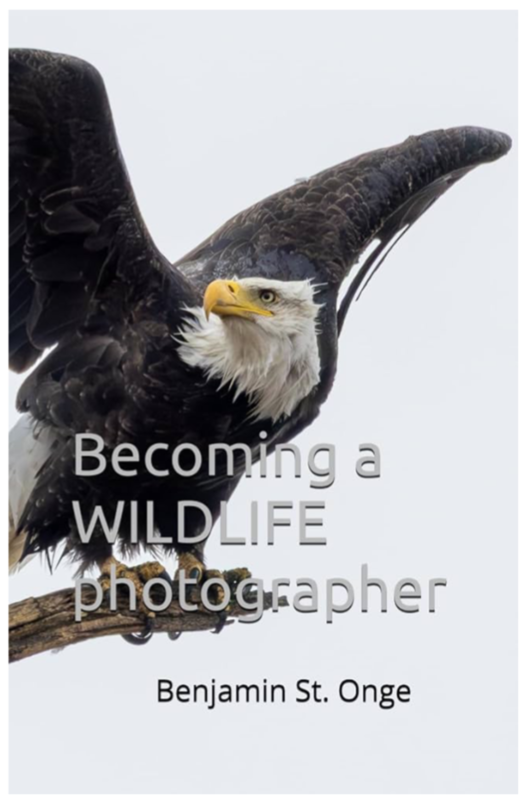 Becoming a WILDLIFE Photographer book cover